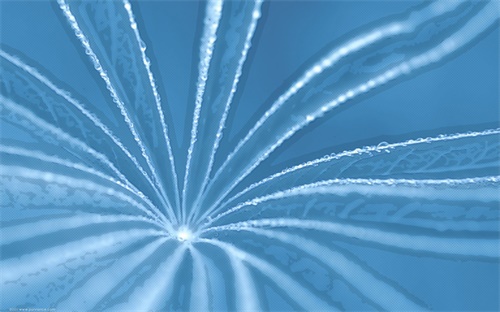 私募风云,私募风云徐翔老板的股市秘诀